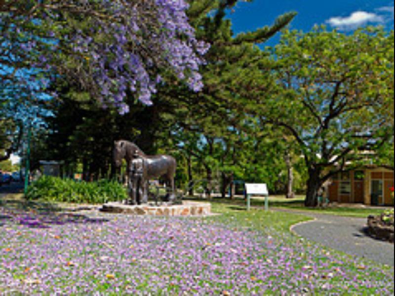 Walnut Cottage Angaston Exterior photo
